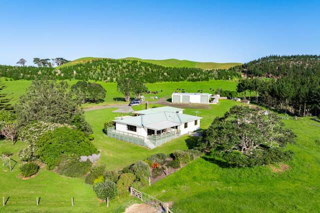 792 Omamari Road Dargaville_2