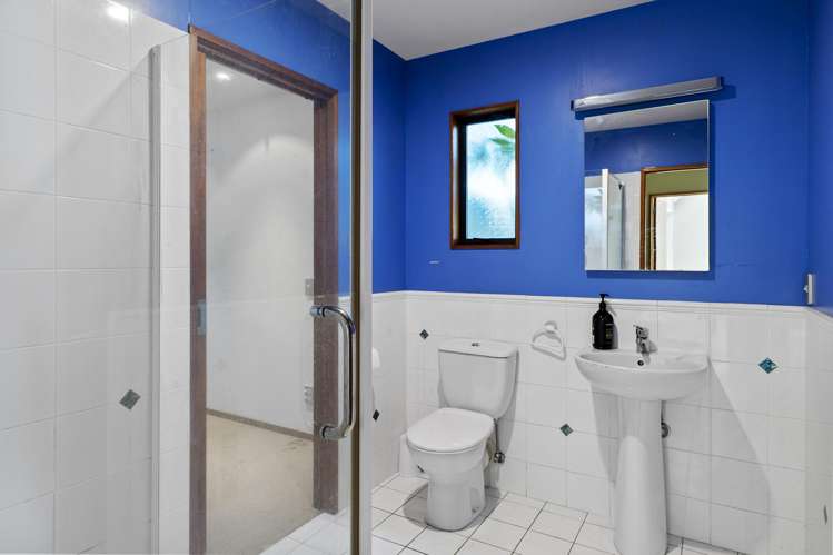 39B Strowan Road Strowan_17