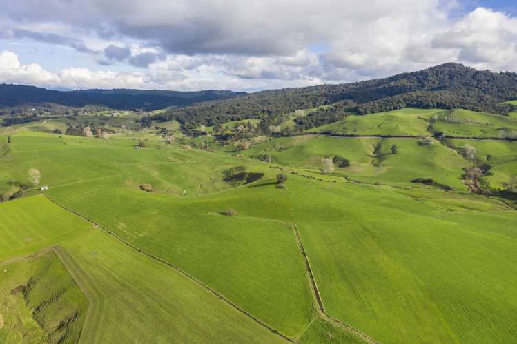 Piakonui Road Richmond Downs_15