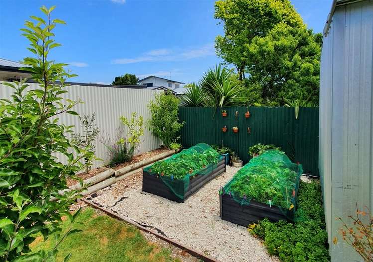 115 Rutene Road Kaiti_7