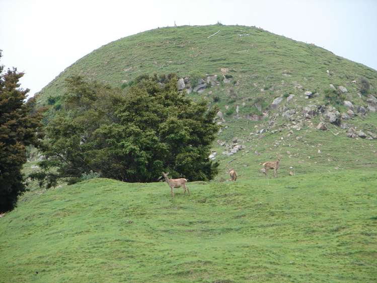 1742 Taringamotu Road Taringamotu_3