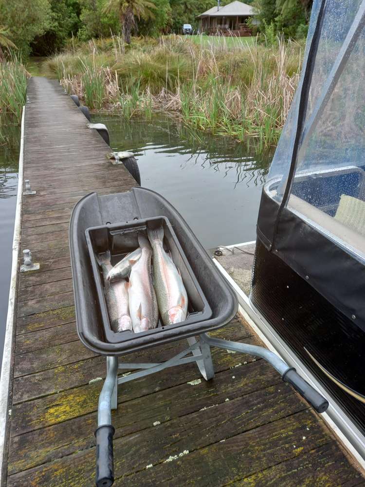 483 Spencer Road Lake Tarawera_45