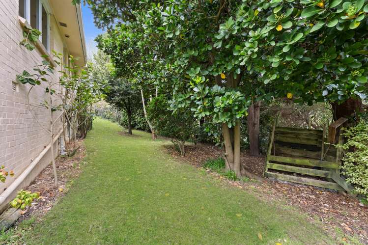 11 Udys Road Pakuranga Heights_33