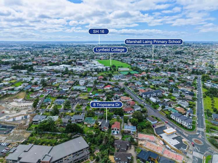 8 Tropicana Drive Mt Roskill_19