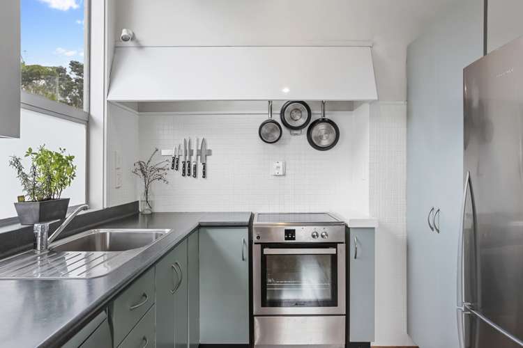 22 Kitewaho Road Swanson_12