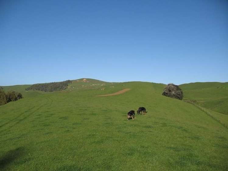 83 Kerr Road Glen Murray_21