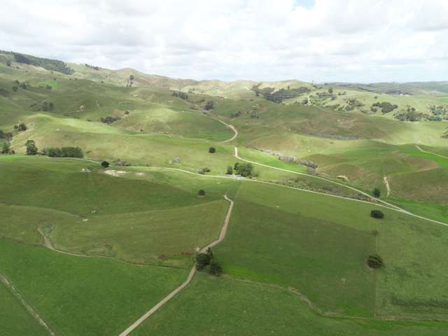 70c Manion Lane Morrinsville_3