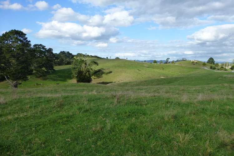 141c Oram Road Mercer_8