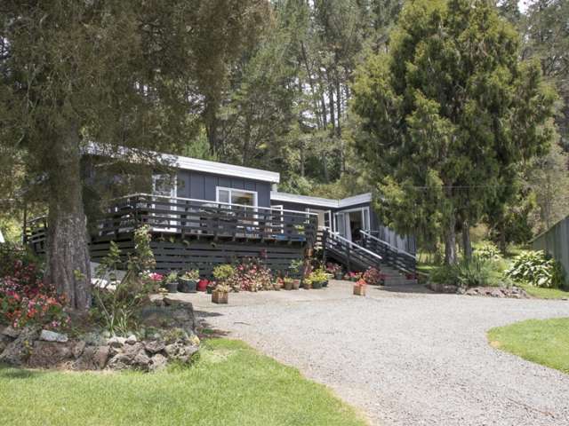 267 Punakitere Road Taheke_4