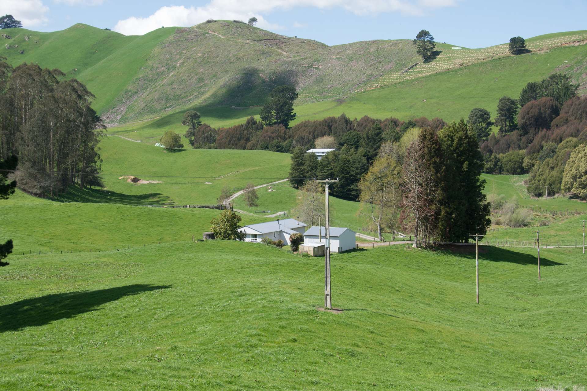 44 Coates Road Waikite Valley_0