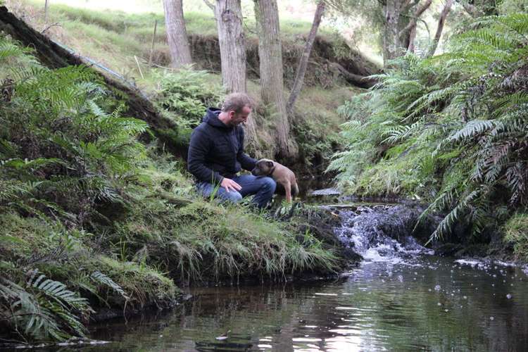 256b Wakelin Road Kerikeri_14