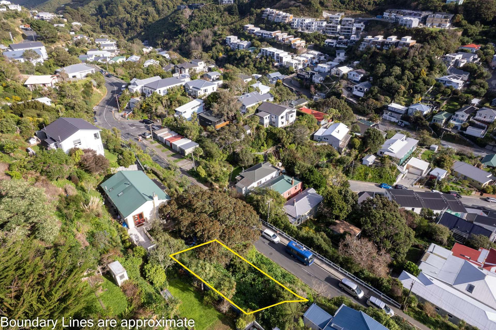 19 Mornington Road Brooklyn_0