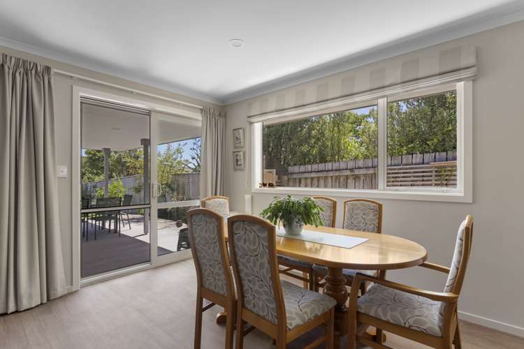 118 Milton Terrace Picton_6