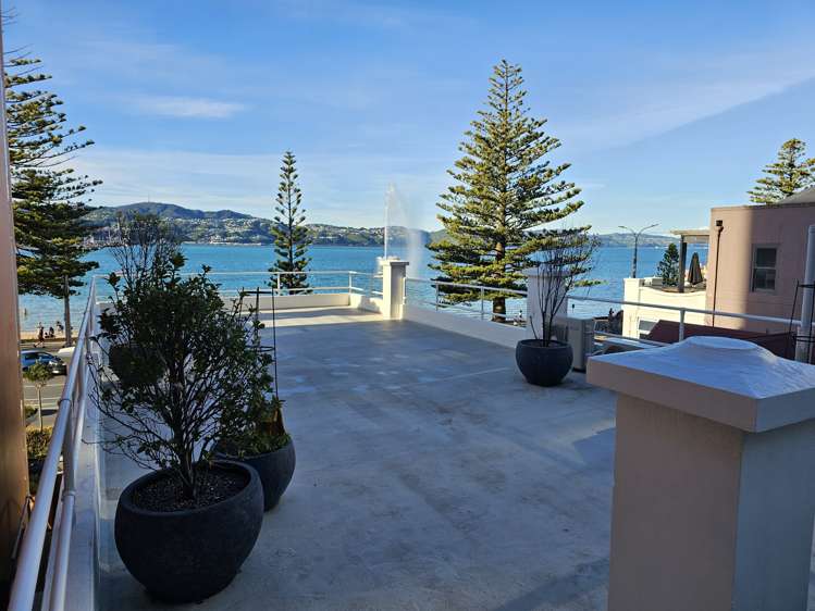 228 Oriental Parade Oriental Bay_19