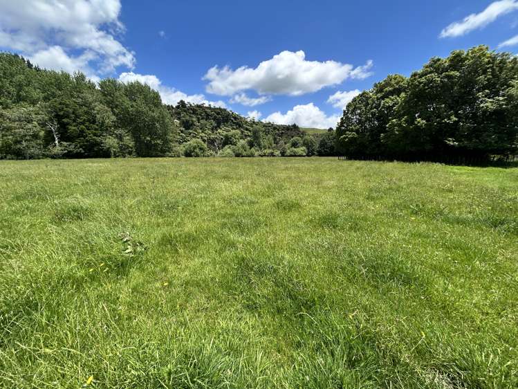 Near 1757 Tarata Road Tarata_9