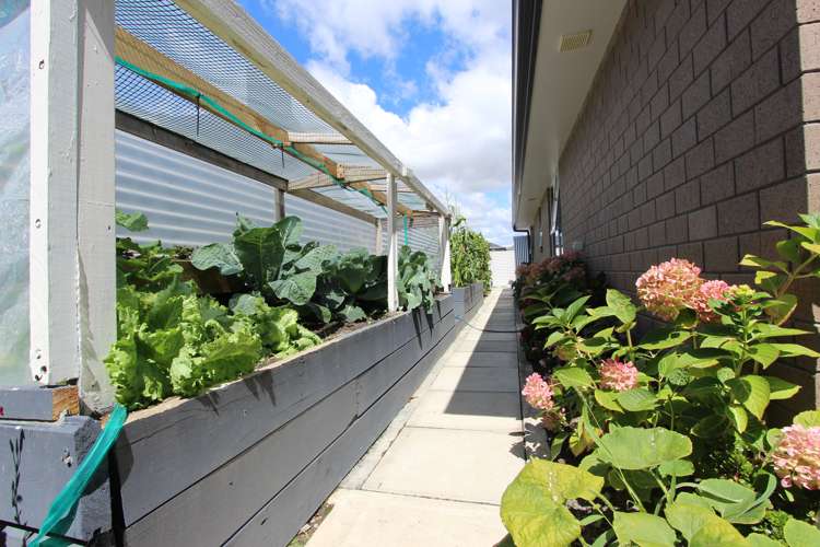 29 Camborne Crescent Blenheim Central_12