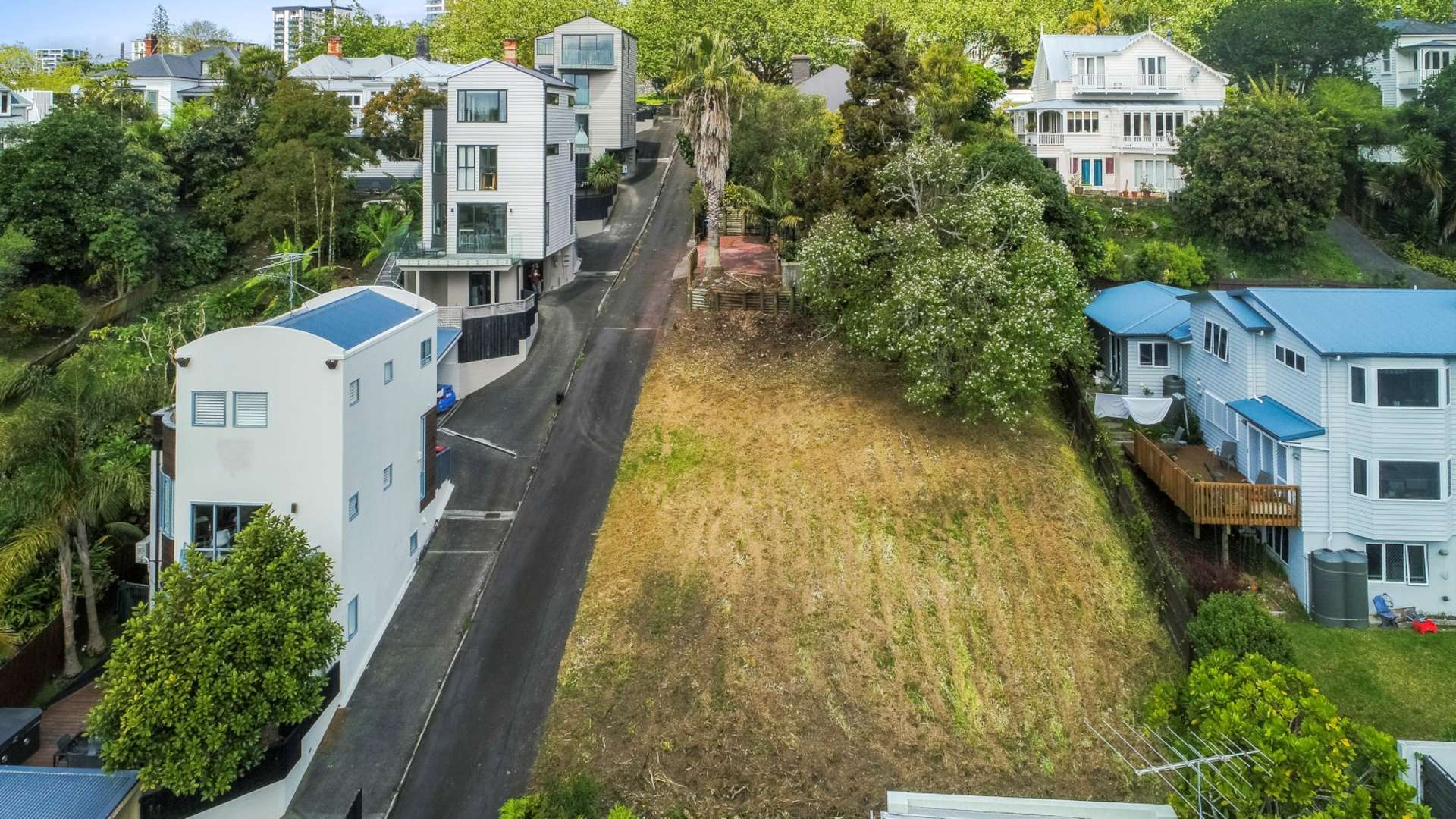 36a Picton Street Freemans Bay_0