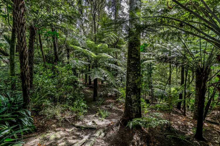 12 Kopiko Road Titirangi_29