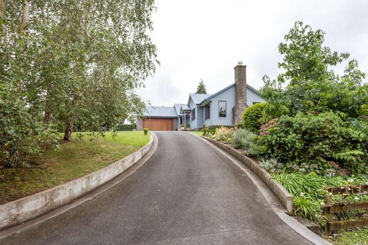 8844D Paeroa-Kopu Road Puriri_20