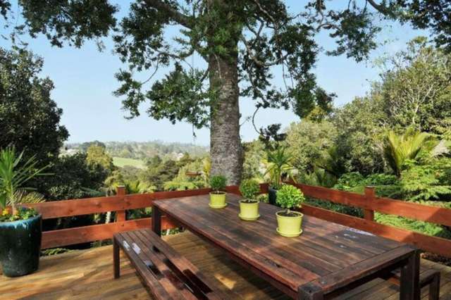 449 Dairy Flat Highway Albany Heights_3