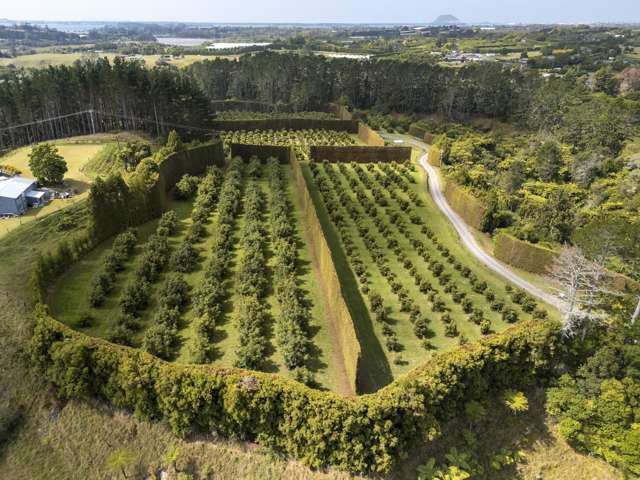 83 I'Anson Road Te Puna_2