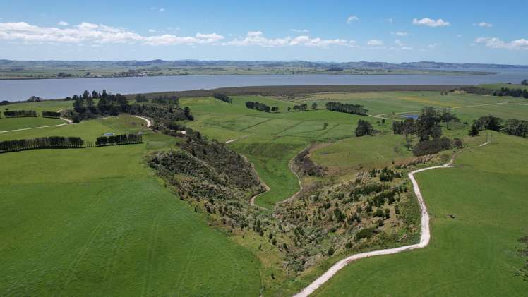 2611 Pouto Road Te Kopuru_14