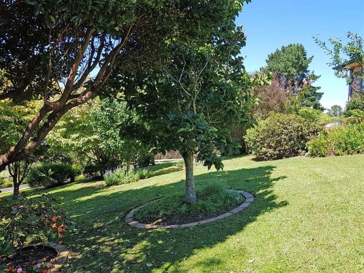 36 Macmillan Street Katikati_15
