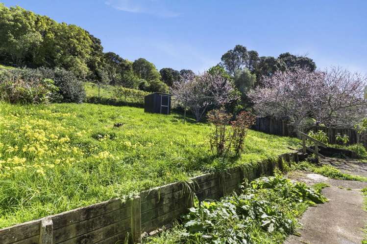41 Mount Royal Avenue Mt Albert_13