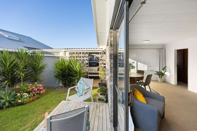 6B Hori Street Vogeltown_11