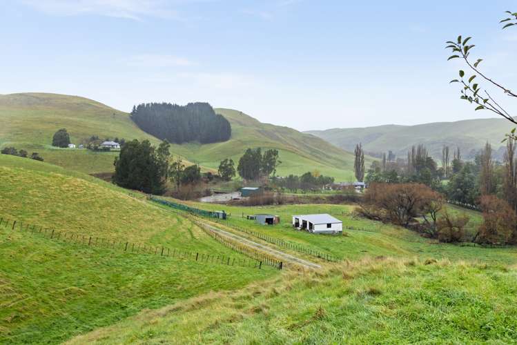 1228 Ohiti Road Crownthorpe_18