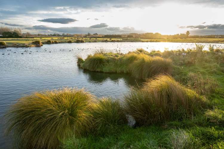 Lot 76 20 Kirirua Avenue Halswell_5