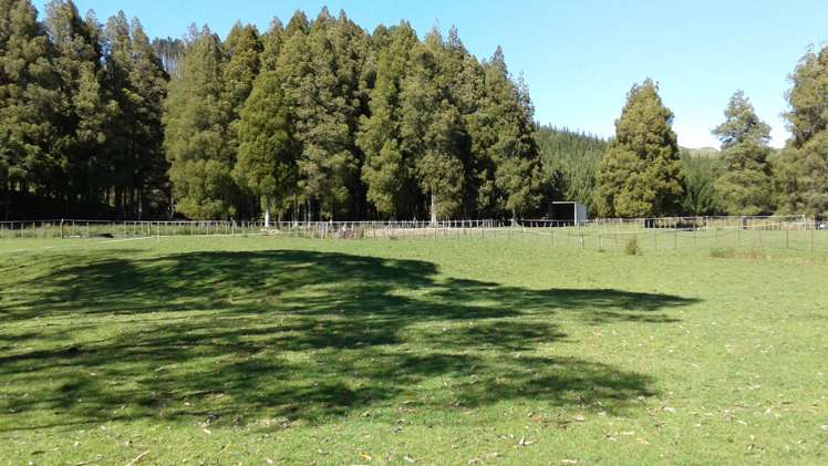 207 Old Mountain Road Karamu_17