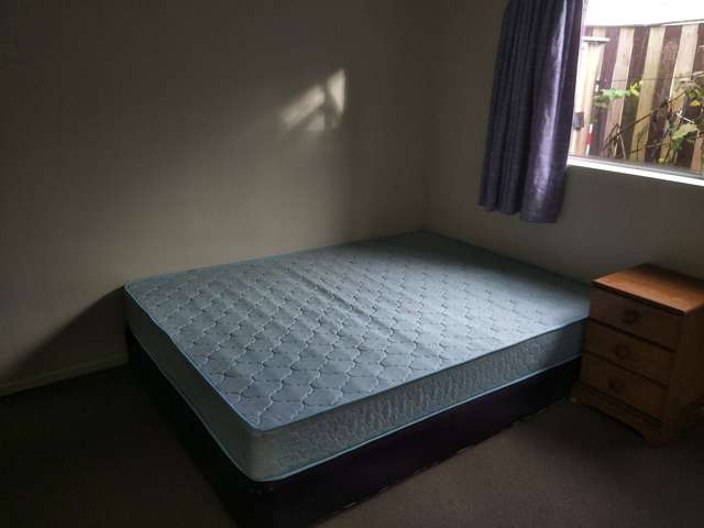 828a Manukau Road Royal Oak_2