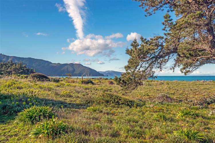 210 Rarangi Beach Road Rarangi_18