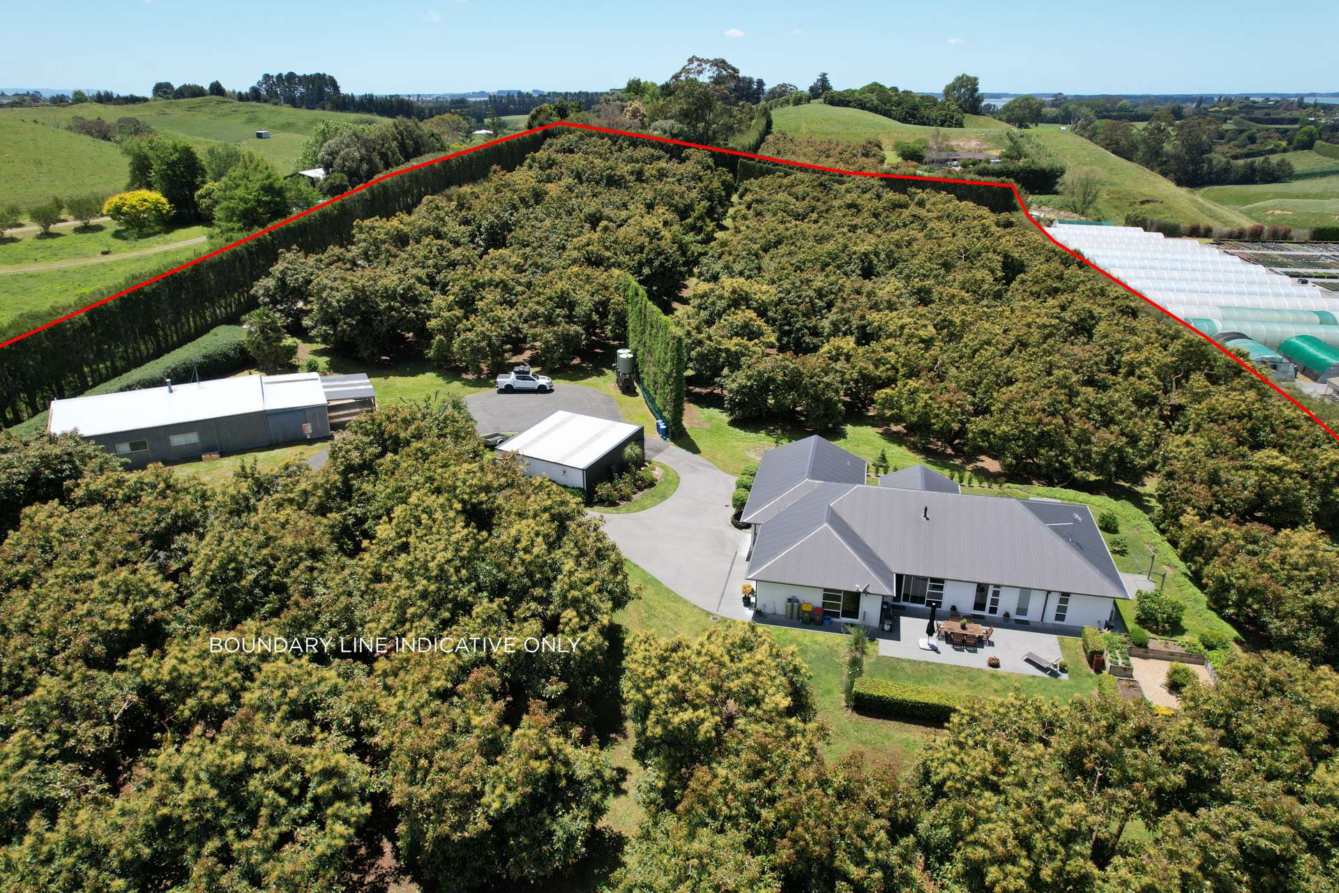 383 Old Highway Whakamarama_0