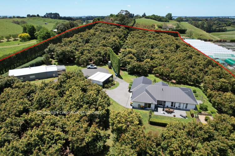 383 Old Highway Whakamarama_0