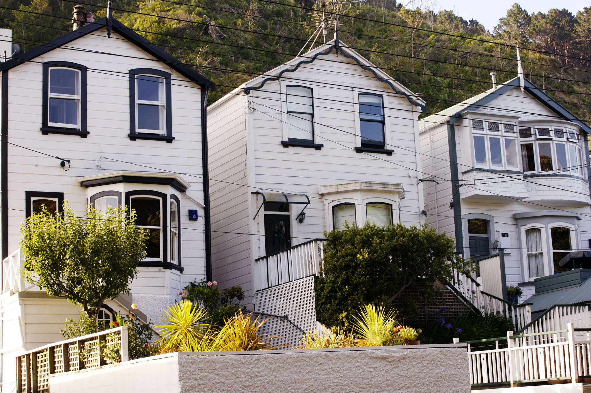 Why is Wellington’s housing market so hot right now?