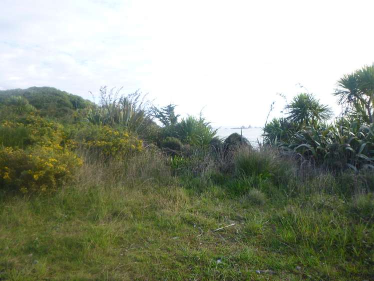 Lighthouse Road Cape Foulwind_9