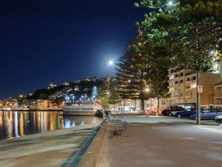 2/226 Oriental Parade Oriental Bay_15