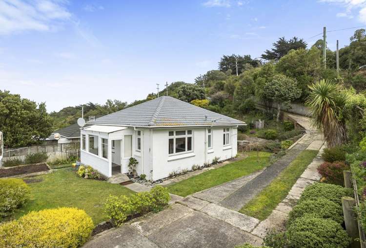 223 Tomahawk Road Andersons Bay_16