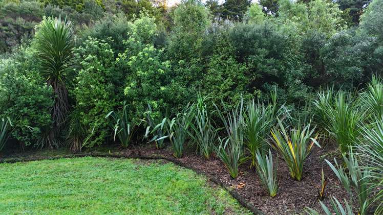 33 Carter Road Mangawhai_8