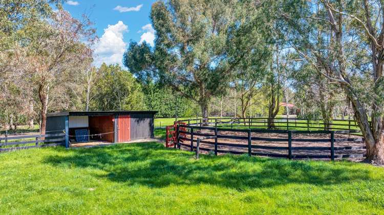 2469 Tram Road West Eyreton_41