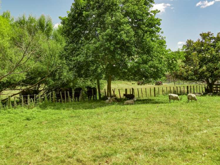 120 Union Line Fordell_22