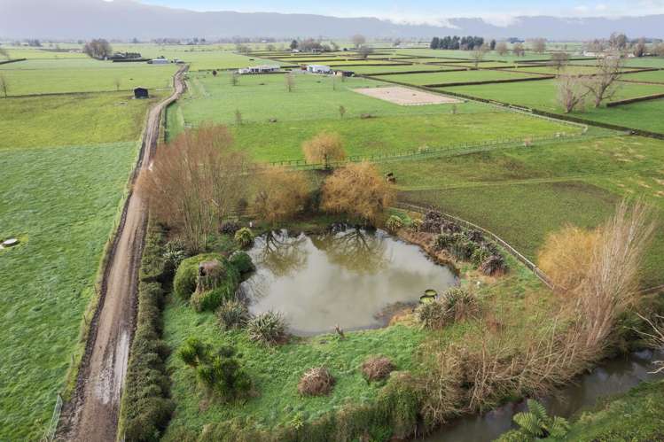 1636 Alexandra Road Waharoa_7