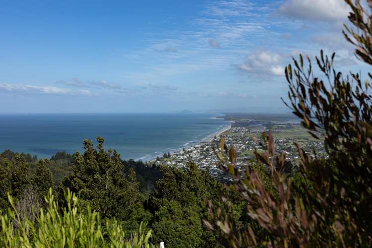 231 Heard Road Waihi_5