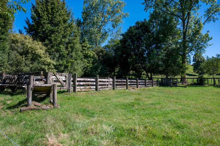 254 Oruanui Road Wairakei_14