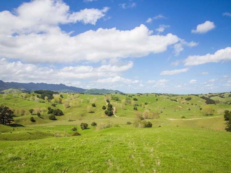 171 Girls High School Road Tangiteroria_5