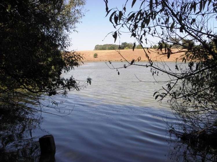 1433 State Highway 3 Turakina_8