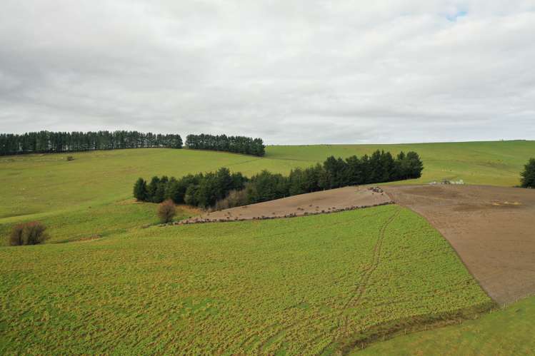 319 Monument Road Pleasant Point_21