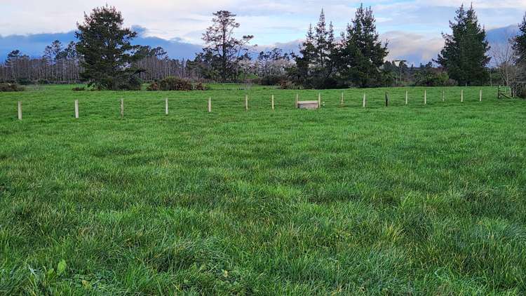 71 Lepper Road Inglewood_9